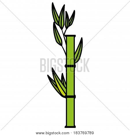 Bamboo japanese tree icon vector illustration graphic design