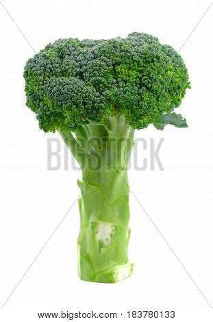 Fresh green broccoli isolated on white background