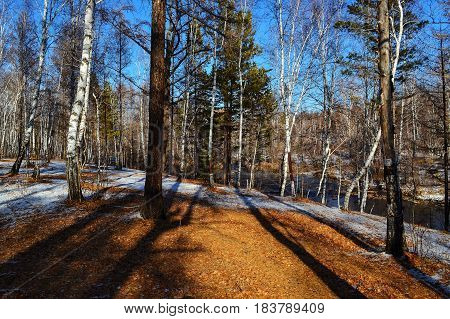 Beautiful autumn landscape. Detail of a forest and river in autumn colors with shadows from the trees