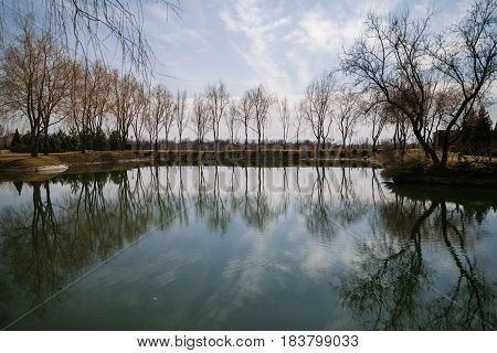 Peaceful pond with bare trees around it in fall