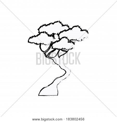 bonsay tree oriental season nature branch sketch vector illustration