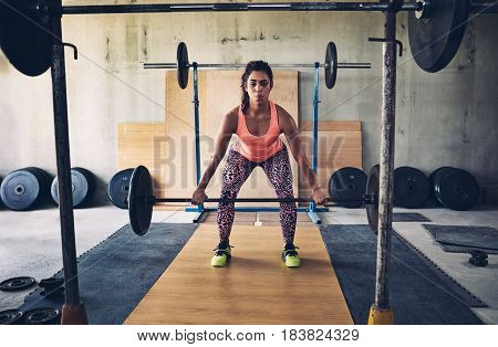Beautiful woman in a private gym lifting weights in a focussed and serious manner