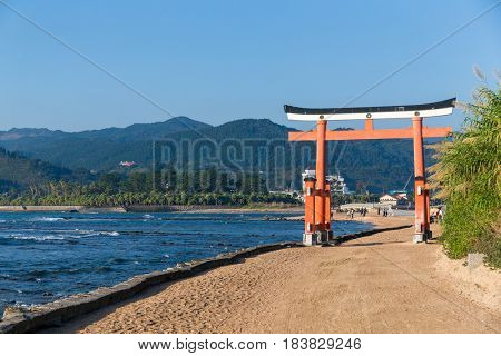 Torii in Aoshima Shrine of Japan