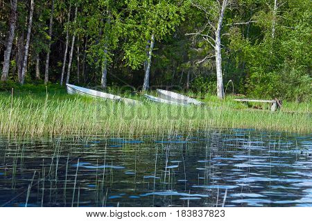 Summer landscape with fishing boats on the shore of the Lake Seliger near the birch forest. Russia