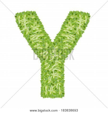 Letter Y alphabet with hydroponics leaf ABC concept type as logo isolated on white background