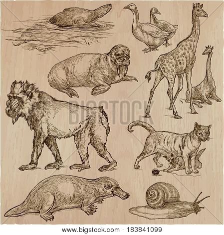 Animals around the World. Collection of an hand drawn vector illustrations. Freehand sketches. Line art. Each drawing comprise of a few layers of outlines. Colored background is isolated. Easy editable.