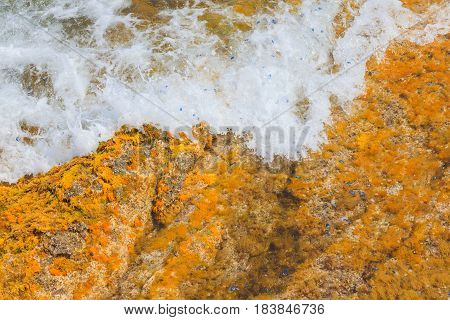Colorful natural texture with sea wave and yellow rocks close up view
