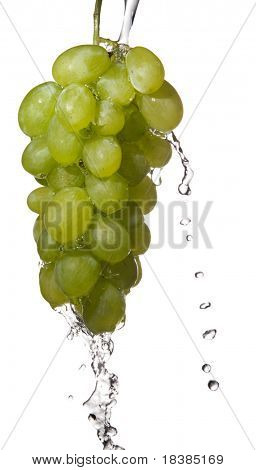 grapes being washed isolated on white background