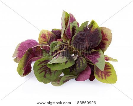 Closeup red spinach isolated on white background