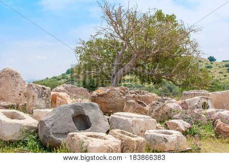 Archeological ruins ancient buildings in Beit Guvrin national Park, Israel.