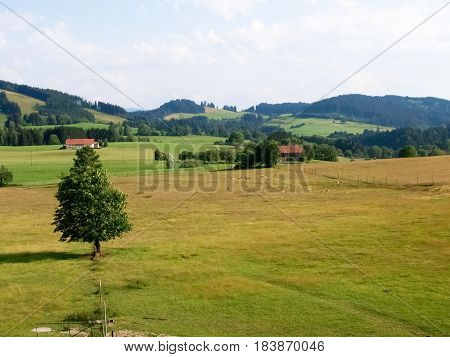 Allgau Panorama, Mountains And Green Meadows