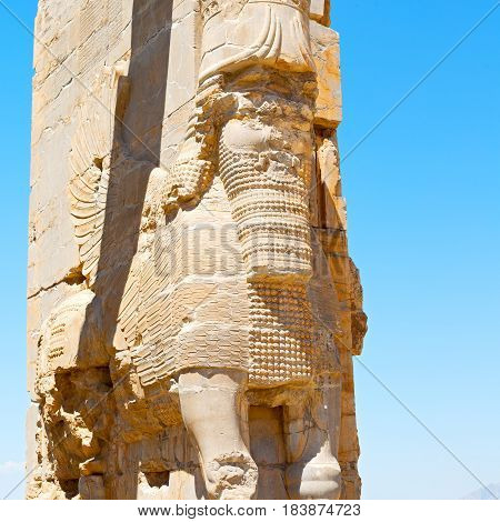 In Iran     Persepolis