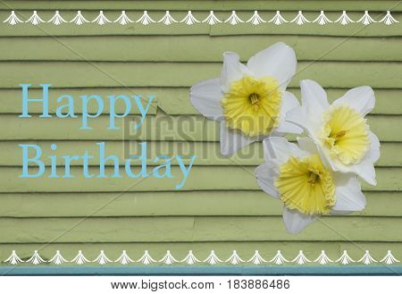 The greeting Happy Birthday with daffodils and fun border atop a light green wall with imperfections and wear