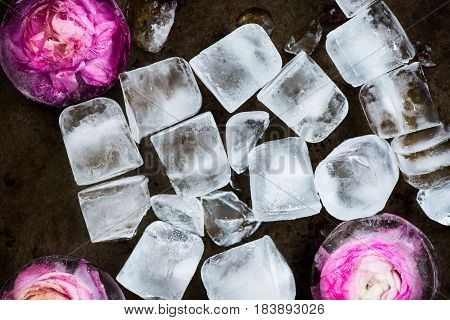 Frozen Flowers In Ice Cubes