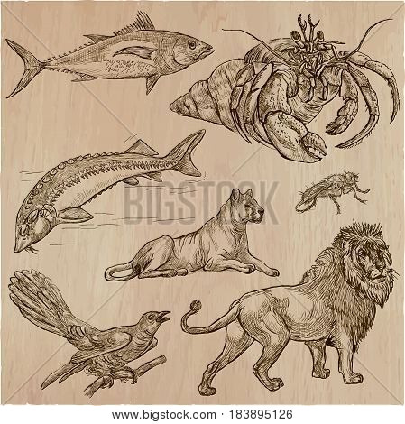 Animals around the World.Collection of an hand drawn vector illustrations. Freehand sketches. Line art. Each drawing comprise of a few layers of outlines.Colored background is isolated. Easy editable.