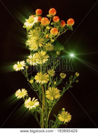 Beauty of a flower bouquet brought out by special lighting and filtering techniques.