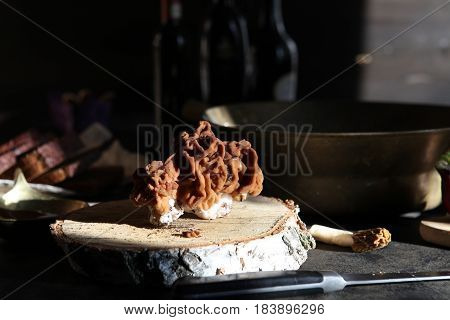 Still life with raw gyromitra mushroomon and birch circle in close up in the rays of sunlight on a black background