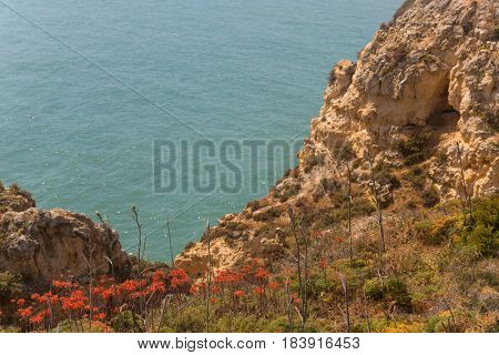 Cliffs of Ponta da Piedade, Lagos, Algarve, Portugal