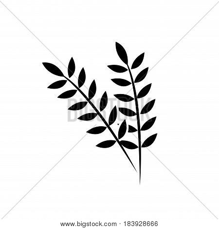 contour healthy wheats organ plant nutricious, vector illustration
