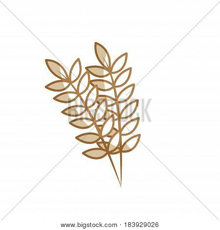 silhouette healthy wheats organ plant nutricious, vector illustration