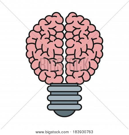 bulb brain creative ilumination intelligence vector illustration