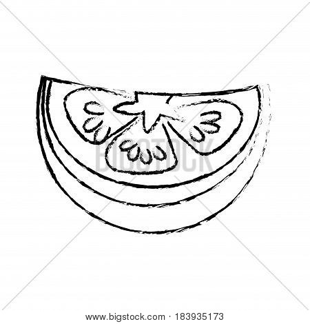 edge fresh piece of limon organ vegetable, vector illustration