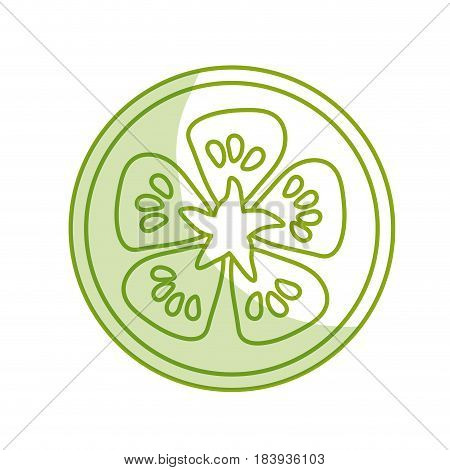 silhouette fresh slice limon organ vegetable, vector illustration
