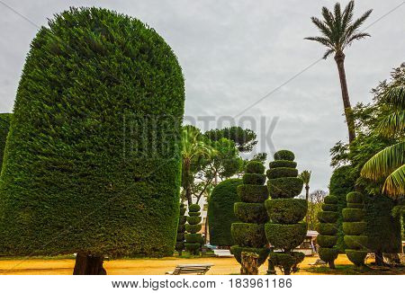 Cadiz city park, Spain. Genovese green garden