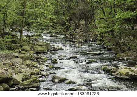 Landscape with river Bode in the Harz area Germany.
