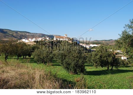 View of the church and town with olive groves in the foreground El Burgo Malaga Province Andalusia Spain Western Europe.
