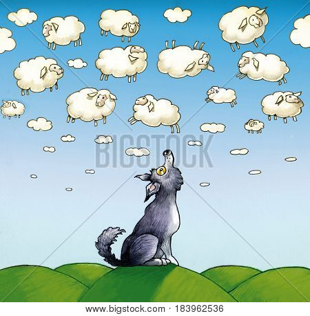 A wolf worn and eager looks at a sky with so many clouds that look like real sheep