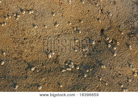 Meer Stein Textur