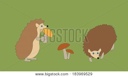 Two hedgehogs collect mushrooms for their food.