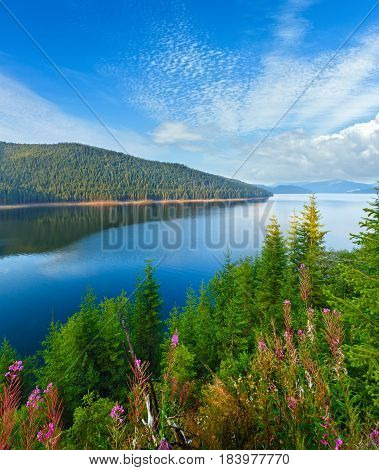 Alpine Lake Vidra Summer  View