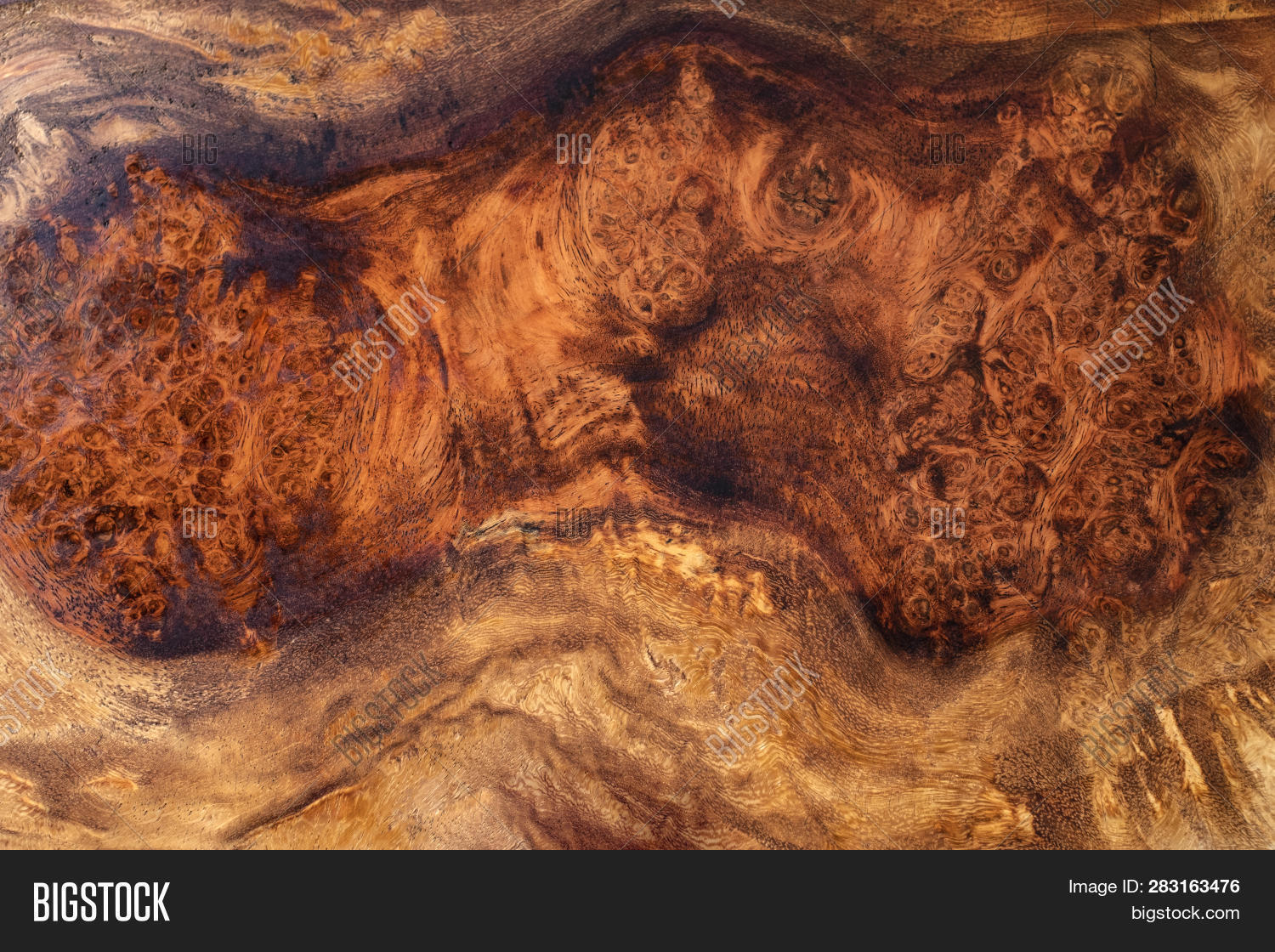 Afzelia Burl Wood Image & Photo (Free Trial) | Bigstock