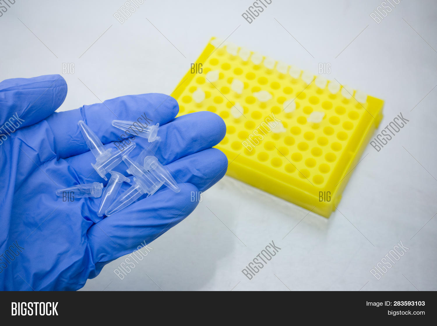 Small Test Tubes Palm Image & Photo (Free Trial) Bigstock