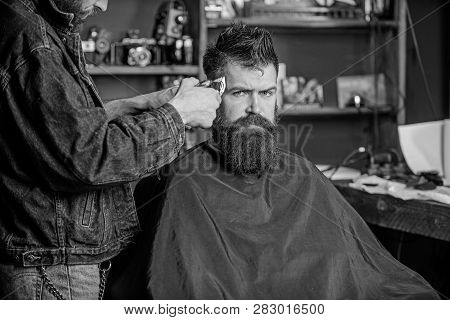 Barber With Clipper Trimming Hair On Temple Of Client. Hipster Lifestyle Concept. Barber With Hair C