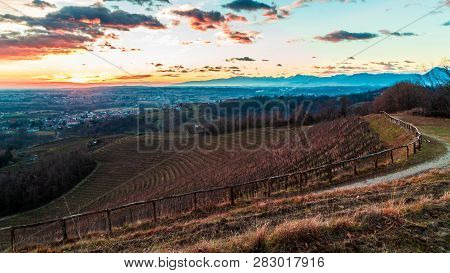 Colorful Sunset In The Italian Vineyards