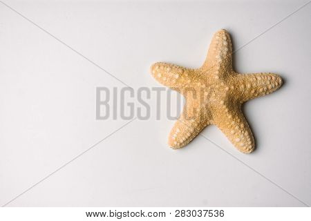 Yellow Sea Star On A White Background