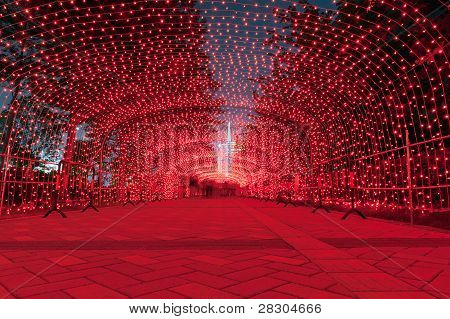 Neon Light Over The Ground