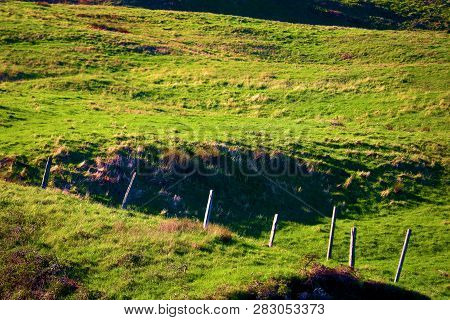 Rustic Wooden Fence To Keep In Cattle On A Ranch Taken At Lush Green Grasslands In Rural Coastal Nor