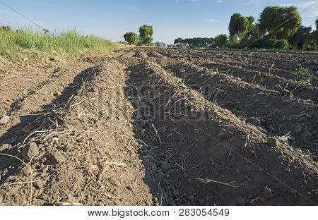 Closeup Detail Of Soil In Ploughed Furrows Of Arable Farmland Field