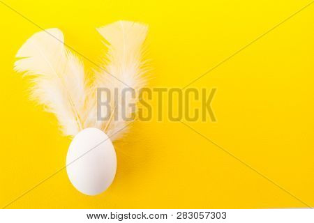 Easter Egg With White Feathers. Colorful Easter Background . Easter Postcard