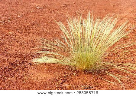 Red Center In The Australian Desert, Outback In Northern Territory, Australia