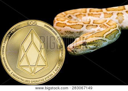 Concept Yellow Snake And Coin Cryptocurrency Eos.