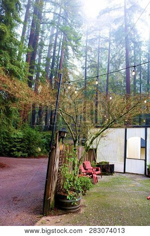 Outdoor Patio Besides A Lush Temperate Redwood Forest On A Foggy Day Taken In The Russian River, Ca