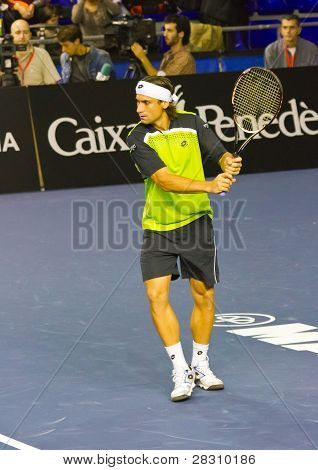 David Ferrer