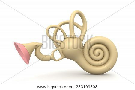 3d Rendered Inner Ear. Cochlea Isolated On A White Background