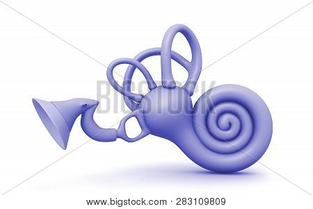 3d Rendered Inner Ear. Cochlea Isolated On A White Background