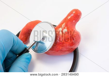 Hand Of Doctor Wearing Glove With Stethoscope And 3d Shape Of Stomach. Photos Idea Where Surgeon Or 